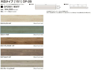 LIXILtA VbT DtAA[X -DP2B01-MAFF 1P[X6/1 t[O