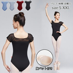 yZ[zoGI^[h oG _X q LbY ̎q l V̑ WjA fB[X ̑EFA oG_XK  s[X̑ obNX EGXgR[g 