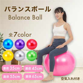 【送料無料】バランスボール フィットネスボール バランス ボール ヨガボール 45センチ フィットネスボール ジムボール トレーニング エクササイズ 腹筋 ダイエット ストレッチ フィットネス ヨガ 体幹 姿勢 筋トレ ピラティス シェイプアップ 器具 プレゼント ギフト