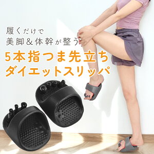 _zN[|zz^ _CGbgXbp 5{w _CGbg Xbp ܐ旧 fB[X T_ r  ̊ N  oX NT_  K [V[Y X