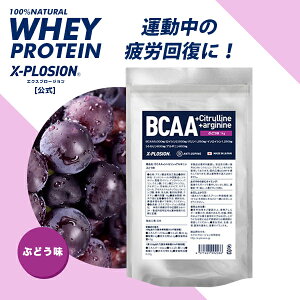 GNXv[W BCAA 1kg Ԃǂ K{A~m_ }A~m_ COuh X-PLOSION