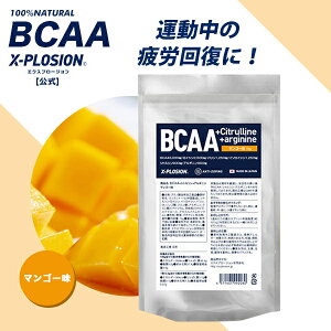 GNXv[W BCAA 1kg }S[ K{A~m_ }A~m_ COuh X-PLOSION