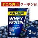プロテイン WPC エクスプロージョン 3kg ブルーベリー味 ホエイプロテイン 3キロ 最安値 大容量 筋肉 タンパク質 高たんぱく 運動 ダイエット 置き換え 男性 女性 子供 こども
