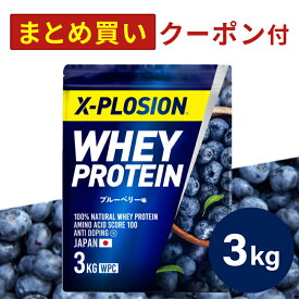 プロテイン WPC エクスプロージョン 3kg ブルーベリー味 ホエイプロテイン 3キロ 最安値 大容量 筋肉 タンパク質 高たんぱく 運動 ダイエット 置き換え 男性 女性 子供 こども