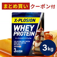 プロテイン WPC エクスプロージョン 3kg キャラメルホワイトチョコ味 ホエイプロテイン 3キロ 最安値 大…