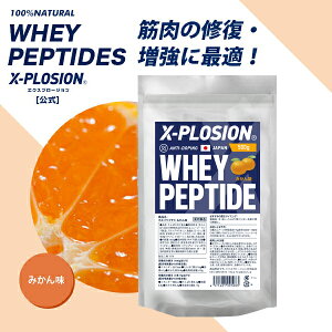 GNXv[W zGCyv`h ݂ 500g 29 