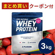 プロテイン WPC エクスプロージョン 3kg ストロベリー味 イチゴ味 ホエイプロテイン 3キロ 最安値 大容量…