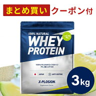 プロテイン WPC エクスプロージョン 3kg メロン味 ホエイプロテイン 3キロ 最安値 大容量 筋肉 タンパク…