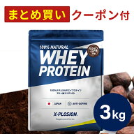 プロテイン WPC エクスプロージョン 3kg 甘さゼロココア味 甘くない ホエイプロテイン 3キロ 最安値 大容…