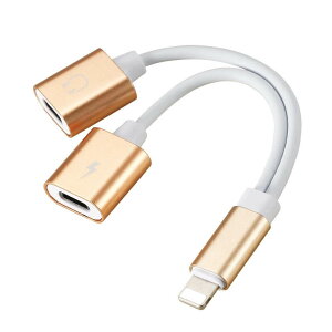 iPhone 14 Pro イヤホンジャック イヤホン変換アダプタ lightning 変換ケーブル iPhone SE 3 充電 イヤホン 同時 アイフォン 充電しながらイヤホン iPhone 13/12 mini イヤホン 変換 アダプター iOS18 在宅勤