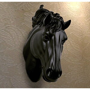 ñneBOgtB[@J[Iׂ܂@kAeB[N@u@IuWF