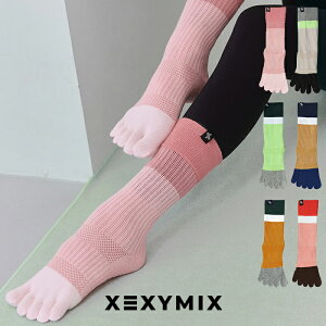 [NVB~bNX K\bNX K \bNX 5{w ~ߕt X|[c \bNX tBbglX \bNX W \bNX g[jO \bNX jO \bNX seBX \bNX 