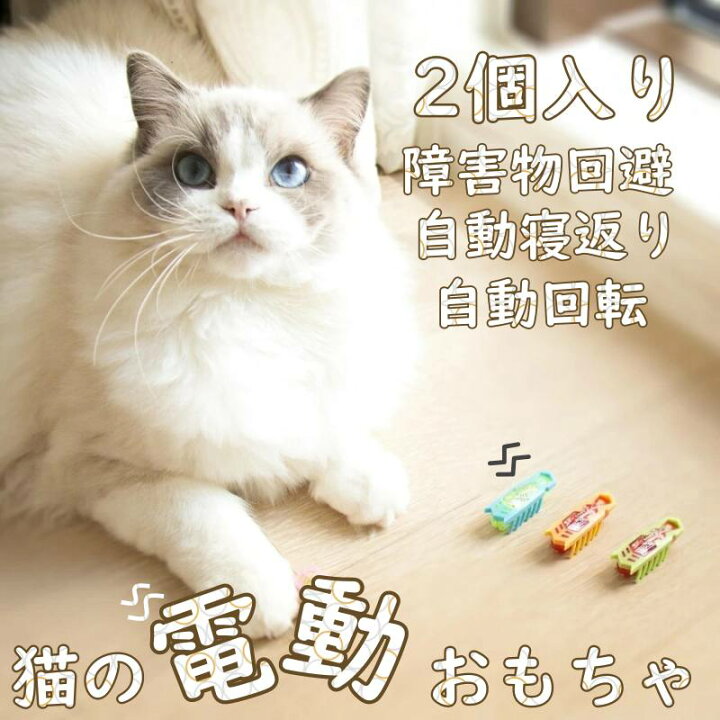 楽天市場 猫 おもちゃ 電動虫 ペットおもちゃ 電動おもちゃ 2個入り ねこ 猫電動おもちゃ 猫のおもちゃ 猫じゃらし ペット玩具 猫おもちゃ 猫用 猫電動じゃらし 猫オモチャ かわいい猫おもちゃ 電動振動音が鳴る 運動不足 ストレス解消 ペット用 ネコ 玩具 Pet Toy Bug