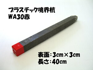 vEY@ vX`bNEY1{̔̔łdʁF0.3kgƎ̋EɁI󂫒n̋EɁIɂxpƂĂOK!