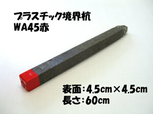 vX`bNEYWA451{̔̔łdʁF1kgƎ̋EɁI󂫒n̋EɁIɂxpƂĂOK!