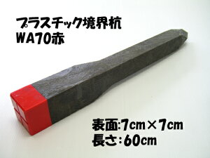 vX`bNEYWA701{̔̔łƎ̋EɁI󂫒n̋EɁIɂxpƂĂOK!