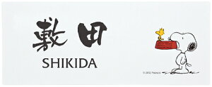 Xk[s[̕\DiԍFSPAWYfUCԍF6fށFANTCYF200mm×80mm×2mmdF40g
