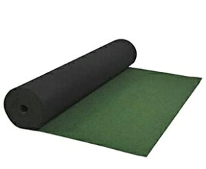 K[fphV[g1{iF1m×F50mj̔G菜ĕ~IꂾłʔQłIɖhyԂ荻ȂǕ~ƌiςQɂȂ܂I