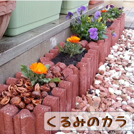 くるみのカラ　新販売規格：ハーフカット【一部地域送料無料】北海道・九州・離島は別途送料かかります。約200gで直径20cmのプランターの表面土が隠れます。
