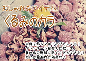 くるみのカラ　新販売規格：ハーフカット【一部地域送料無料】北海道・九州・離島は別途送料かかります。約200gで直径20cmのプランターの表面土が隠れます。