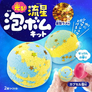 ArTeC@A[ebNy058410zIA{LbgÈłŌILL̃zOOb^[t