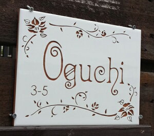 Anu \D@TCYF200×150mm×65mmJ[FzCg@u[@uE@O[@ׂőN₩AXyČ̕ÔCeA^C\DłB