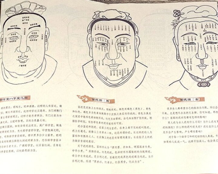 楽天市場】図解麻衣神相 四庫全書 占い 中国語版書籍 : 中国の本屋
