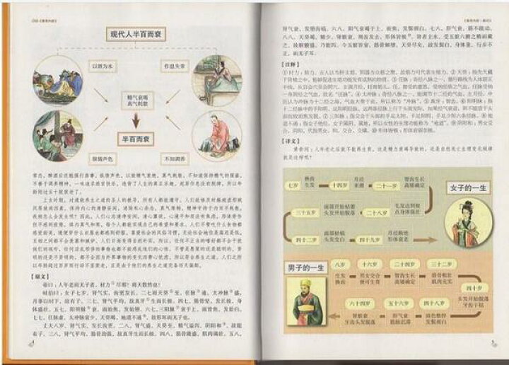 楽天市場】図解黄帝内経 中医漢方 中国語版書籍 : 中国の本屋