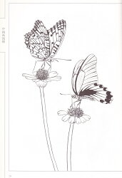 楽天市場 百蝶画譜 中国画線描 大人の塗り絵 中国語 中国の本屋