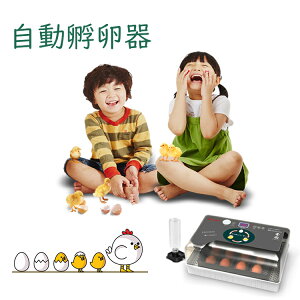 y|Cg2{zyyV1ʁzz z ] CLx[^[ P  ސpӗ z jg Aq { Aq  Pz ۉ