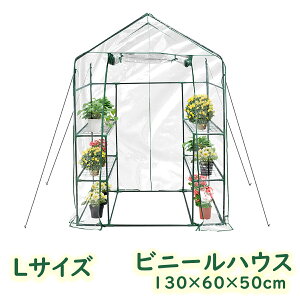 y|Cg2{zrj[nEX ^ ƒp   ƒ؉ K[fnEX rj[X^h g ȈՉ K[f Jo[ z[ A ԉ Ả g