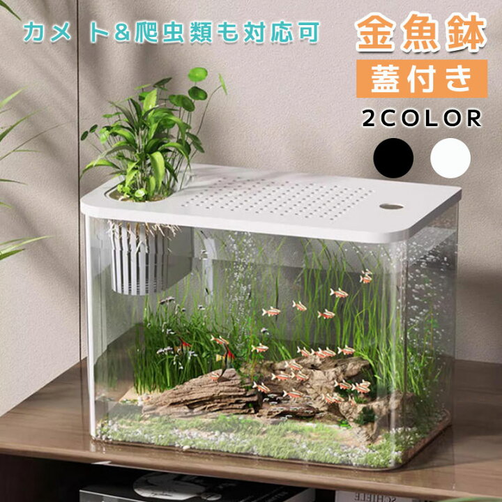 楽天市場】金魚鉢 プラスチック アクリル 透明 大容量 2カラー 