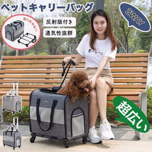 ybgL[ L[P[X ybgL[P[X ybg L[obO LX^[t a@ o Lv UP[X ^ y ʋC bV ʋC s ʉ@ 