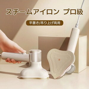 AC X`[AC ߗރX`[}[ X`[}[ VL΂ nfBX`[}[ ܂ݎ 12 AX`[  EL X^ht y Rh~ AC X`[AC