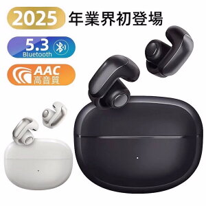 `Cz CXCz Bluetooth 5.3 ǂȂ I[vC[^ @Ή Hi-Fi CX u[gD[X }CNt ʘb Ȃ璮