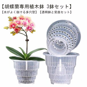 Ӓp Aؔ 3Zbg Ӓ̐Aւ  Mt ^ ʋCQ h~ a12cm a15cm rt vX`bN  ̔ ϗtA̔  NA 