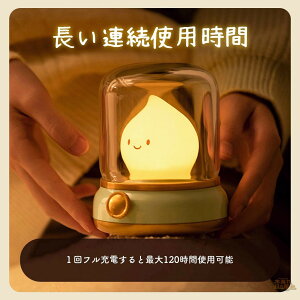 ほのぼの灯ランプ USB充電式 レトロデザイン LEDナイトライト 調光 タイマー機能付き かわいい ヴィンテージ風 おしゃれ 寝室用 子供部屋用 授乳 おむつ替え インテリアライト プレゼント