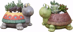 2Zbg T  Aؔ v^[fUC t[|bg  A T{e 񂹐A  (T) ~jT~͍H|i