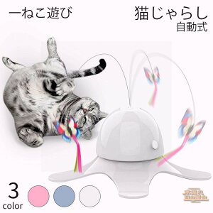 L  mߋ 邮{[ L炵 ˂  LI` Lpi LeqL̂lC lV ^sAL̂ቮLpLqLv