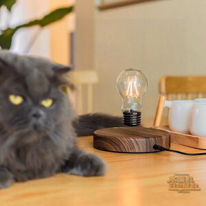  LEDCg ԐڏƖ k Cg ZT[^b` Ɩ  d e[uCg  C  IuWF Q CeA