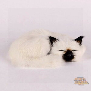 ねこ ぬいぐるみ リアル 本物 そっくり 猫 ペット ペットロス 眠るぬいぐるみ 長毛 ラビットファー 動物 アニマル 癒しグッズ 雑貨 お祝い かわいい 猫のぬいぐるみ 子供 おもちゃ 大人 家族