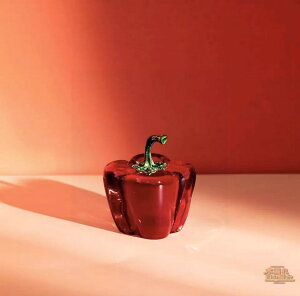 s[} KX NX^ CeA IuWF ANZT[ AeB[N u  rO  