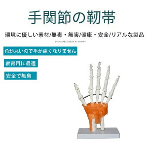 Ëpl̍if 6 ֐߁iG֐ߑ֐ߎ֐ߌ֐ߕI֐ߌҊ֐߁jڍ׍\Č UwwKɍœK