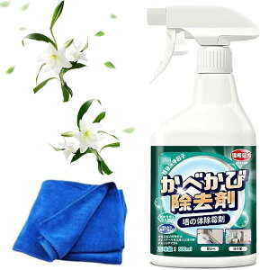 Jr Jr Xv[ ꏜ ̓r 500ML ƒp JrXv[ tH[Jr  Xv[ JrN[i[tH[ Jrꏜ Ǘp̓r |