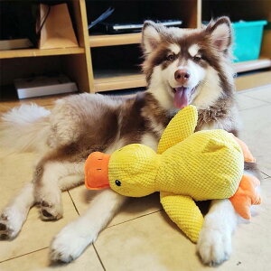 ���p�������� �I���`�� �ʂ������ �A�q�� ���Ђ�̂ʂ������ �_�b�N ���� ������ ���J ���������� ���̂������� ���̃I���`�� ���^�� ���^�� ��^�� �f���^�� �P�A �y�b�g�O�b�Y ���� 