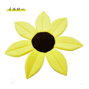 Vp }bg oX}bg Ԍ^  Be ins u[~Ot[ C xr[oX^u Ԃ V[}bg ܂肽 NbV _炩 oXpbh \tg ~ 