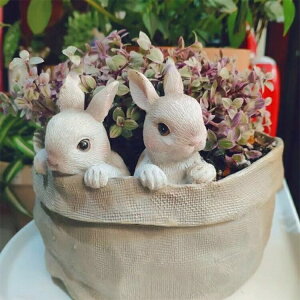 多肉植物鉢 おしゃれ 植木鉢 園芸 可愛い 癒しウサギ ミニ 多肉 苔 コケリウム 屋外 屋内 家庭用 観葉植物 プランター フラワーポット 園芸用品 雑貨 インテリア アウトドア DIY 飾り 北欧 寄