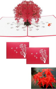 ytFXeBoΉzgt̃O[eBOJ[h aJ[h |bvAbvo[Xf[J[h 3D̓IgtJ[h ḦA yւ̂ tւ̊ӏ 蕨 t