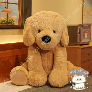 ʂ uh[  A xbh[ 炩 NbV ᔽ Q  LN^[ 傫 a v[g