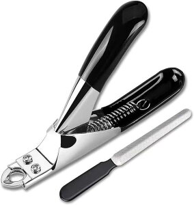  ܐ؂  ߂ ^ S L ܐ؂ L ߂ ܃Xt lCg}[ M`^Cv y RpNg S҂ SS ^Lp